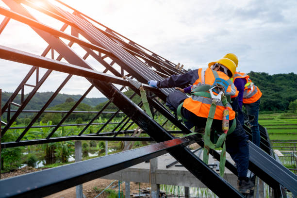 Best Storm Damage Roof Repair  in Shepherdstown, WV