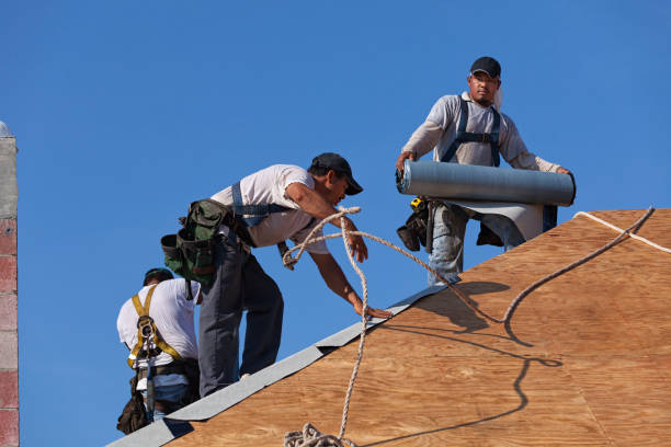 Best Flat Roof Repair Services  in Shepherdstown, WV